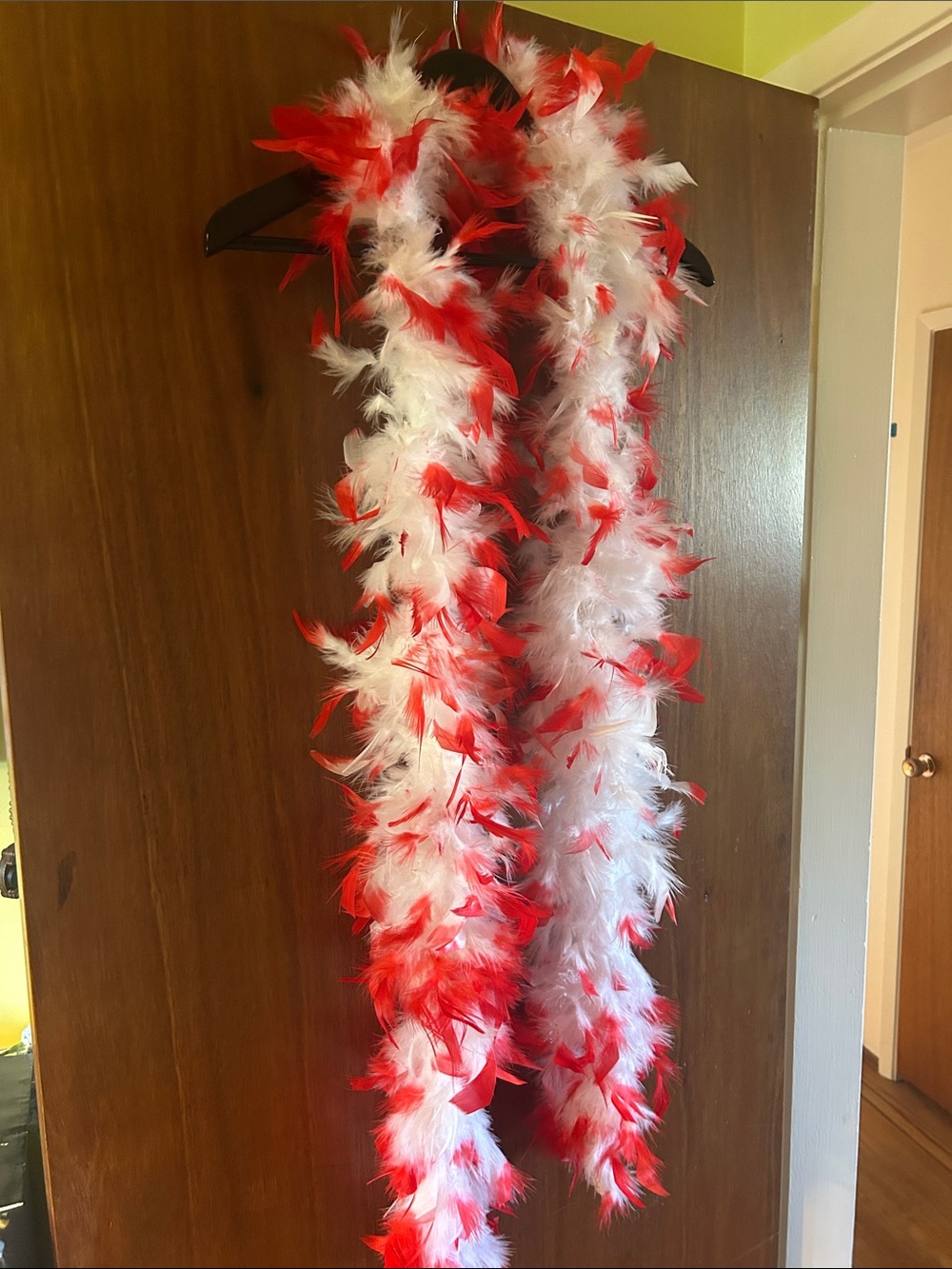 Red & White Feather Boa - Festive Holiday Accessory